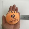 DSJUGGLING 4 Pieces Washable Juggling Balls for Beginners and Professionals Set of 4 100g Each - Soft Easy Juggle Balls, Multiple Practice Juggling Ba